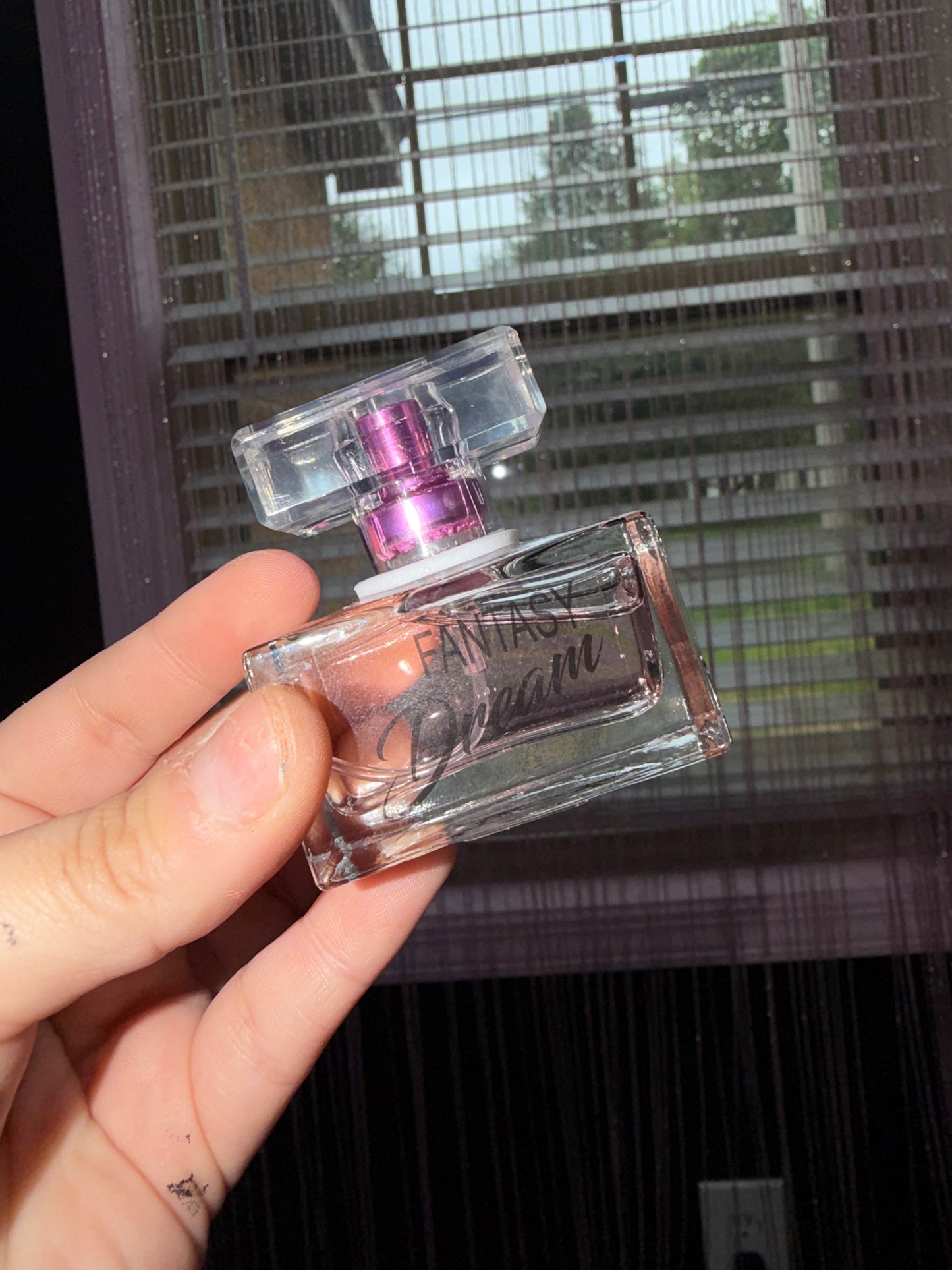 Vs dupe fantasy dream