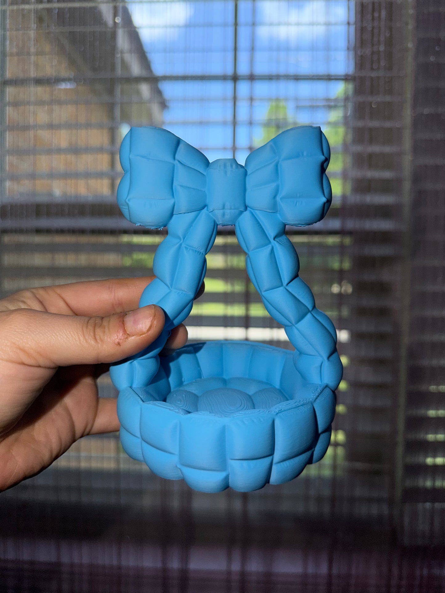 Ring holder