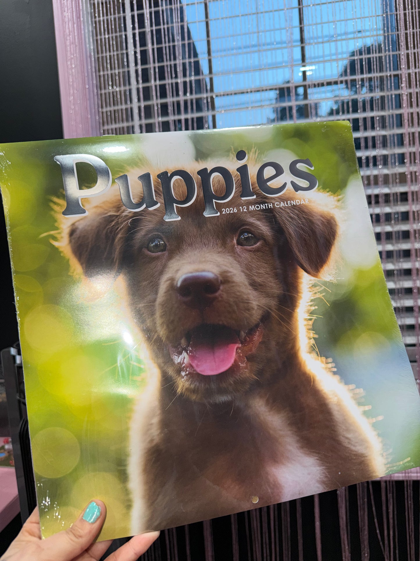 Puppies calendar