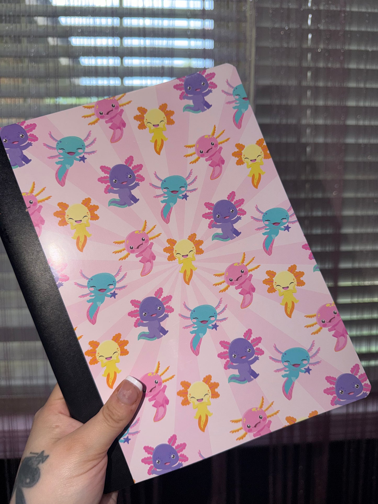 Axolodl notebook