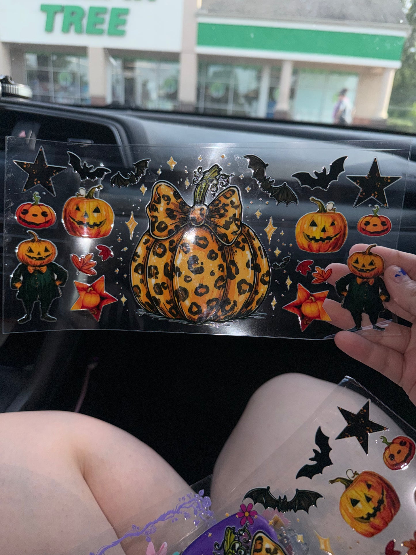 Cheetah pumpkin wrap