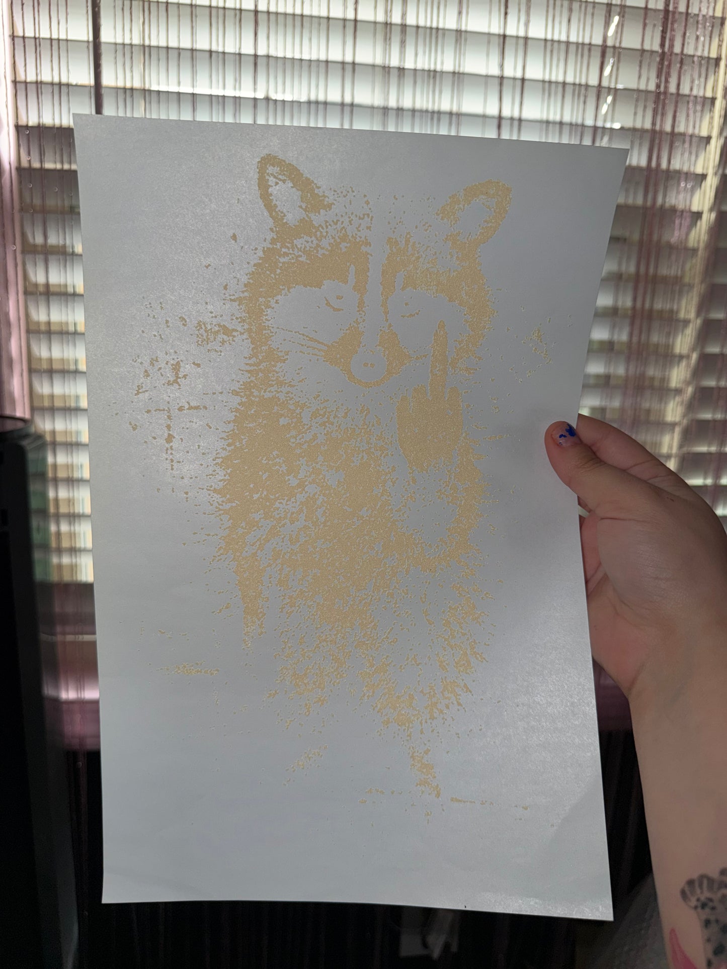 Raccoon t shirt transfer