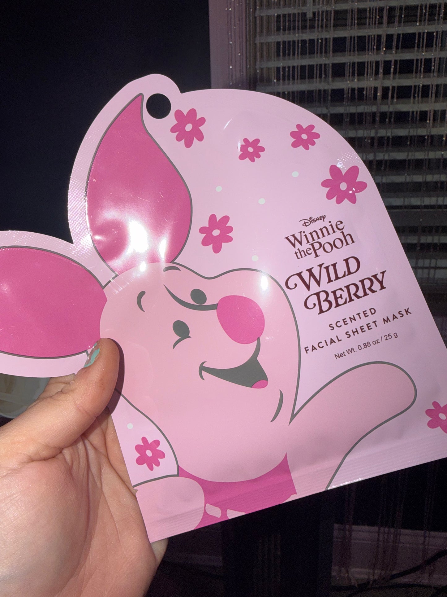 Piglet face mask