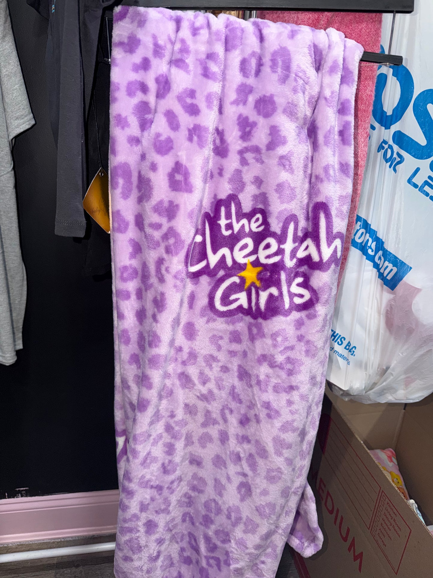 Cheetah girls blanket