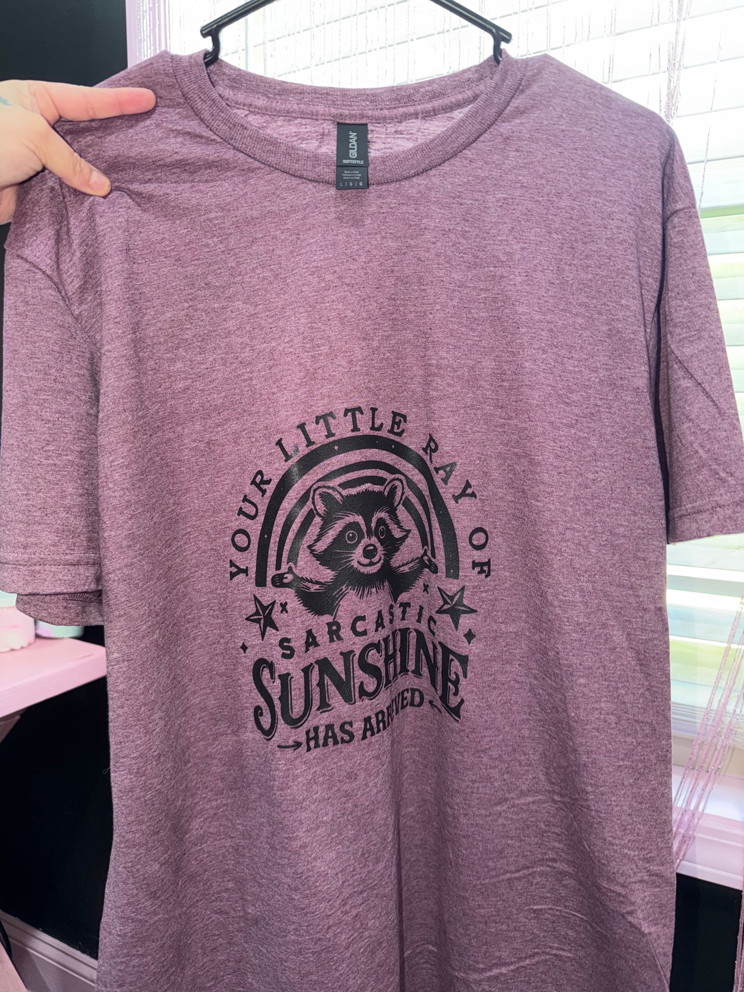 Sarcastic sunshine tee (L)