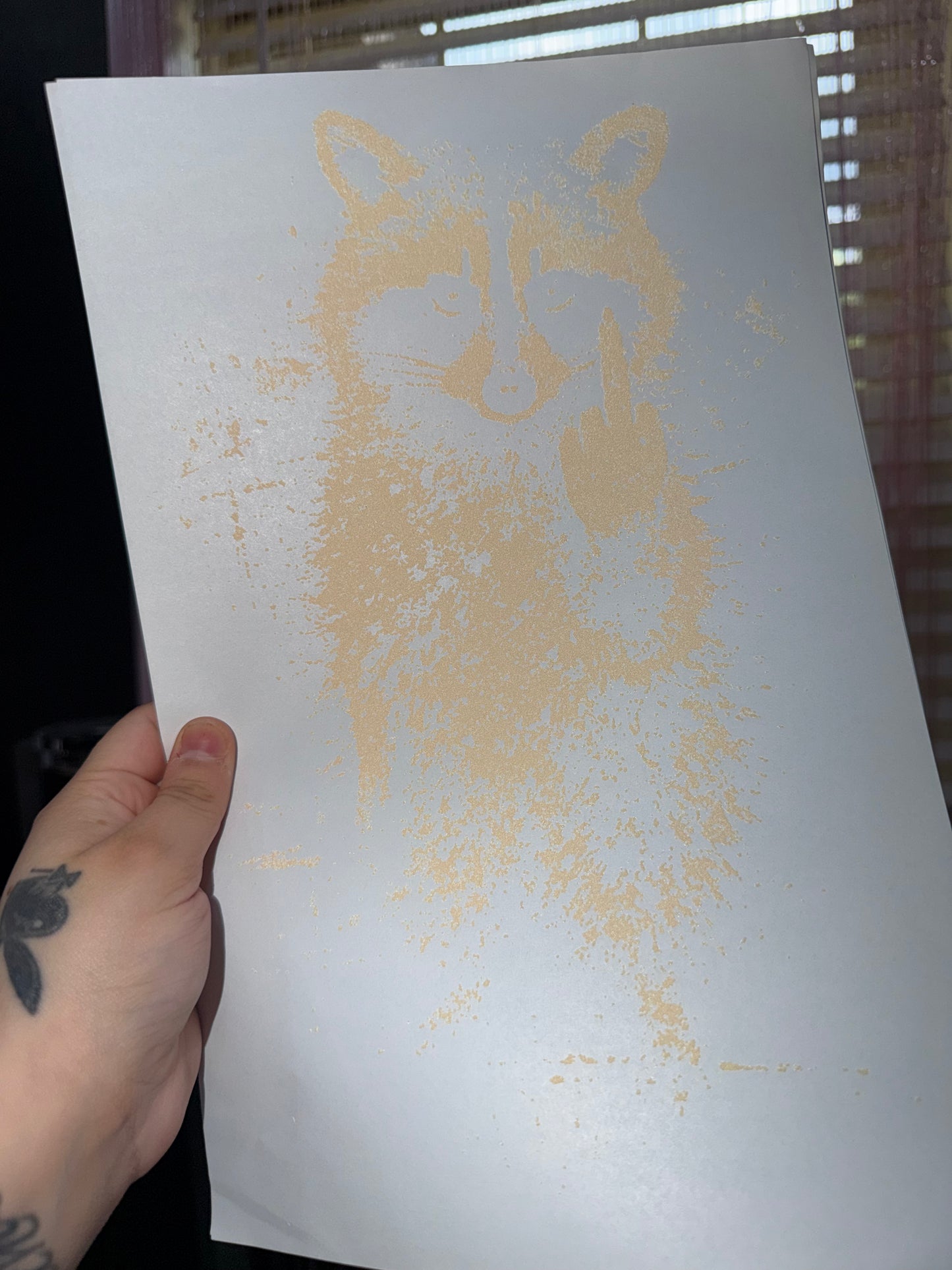 Angry raccoon screen transfer