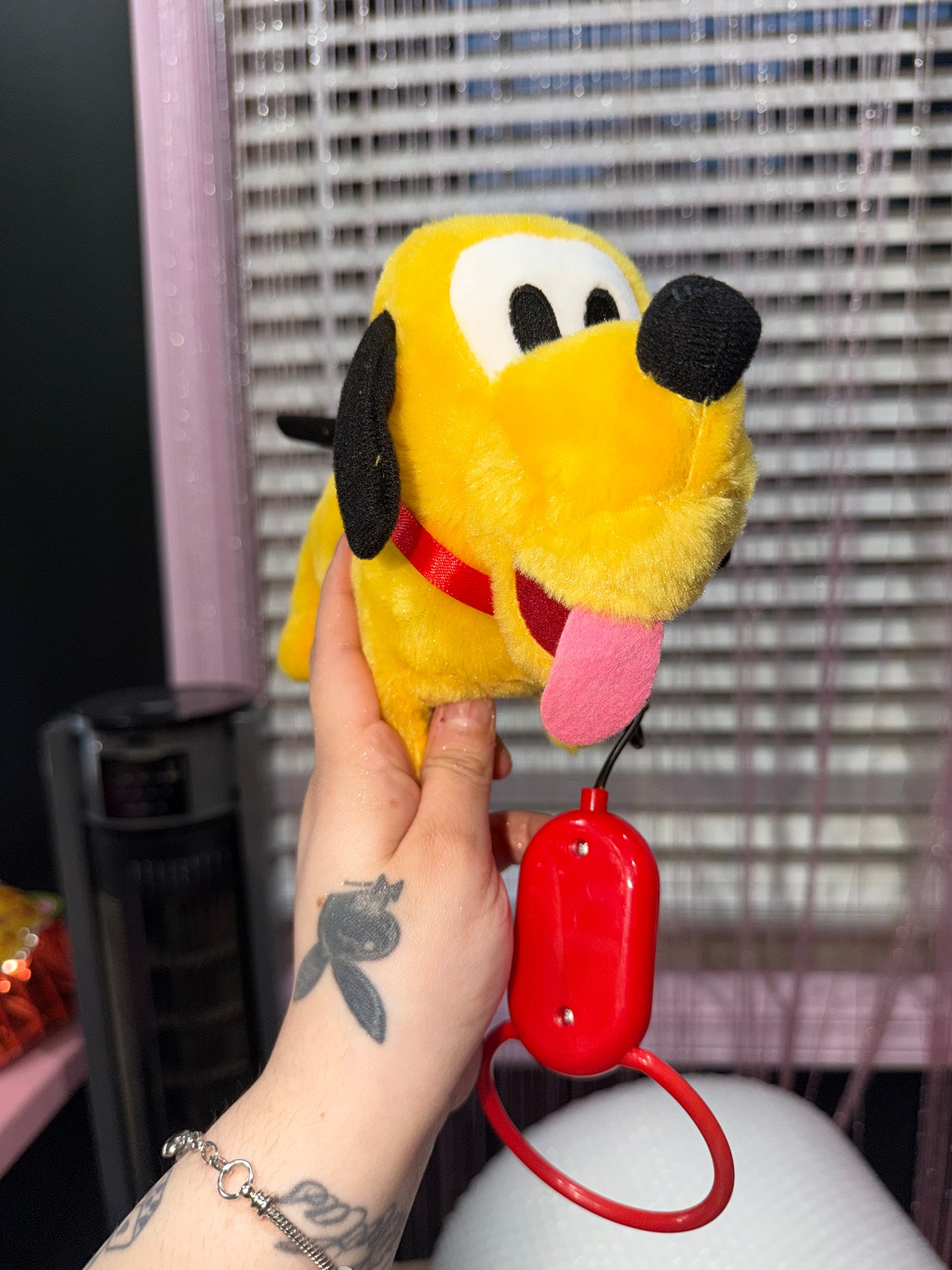 Pluto dog with leash