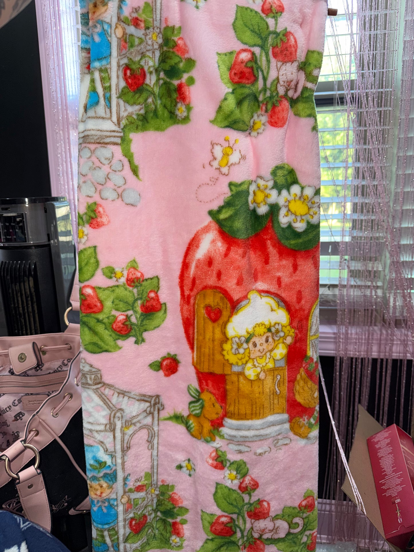 Strawberry shortcake and friends blanket