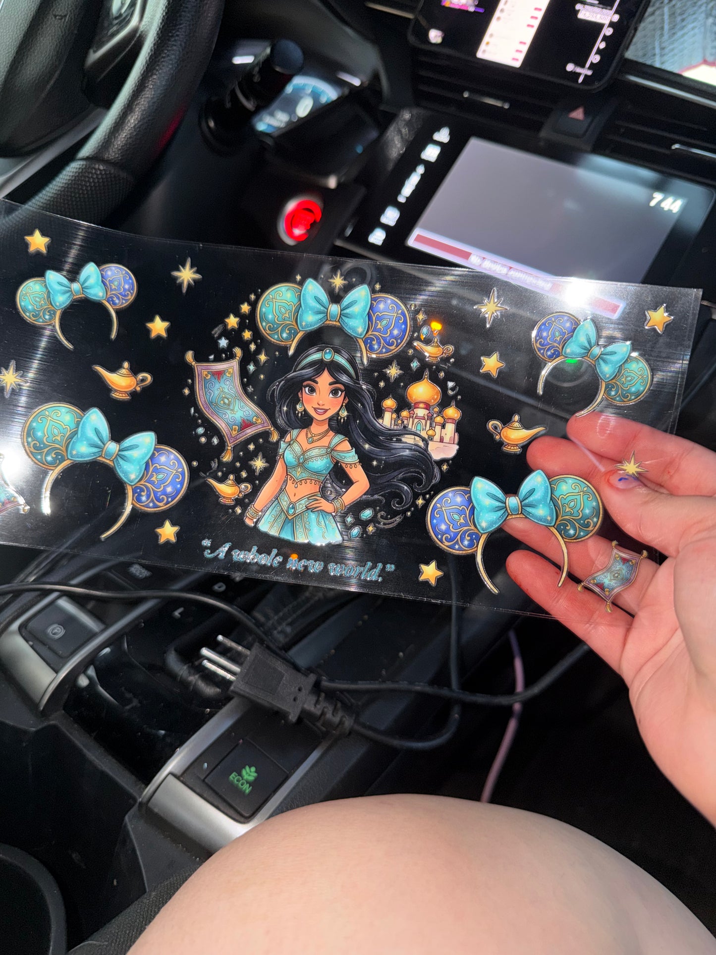 A whole new world wrap
